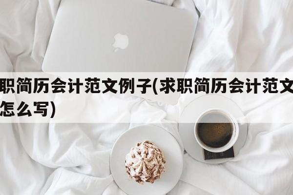 求职简历会计范文例子(求职简历会计范文例子怎么写)